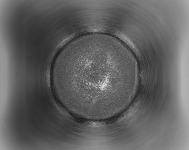 X0000095950442200801251133