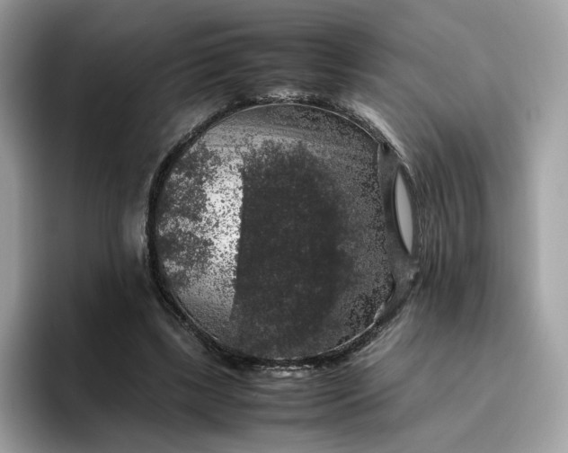 X0000095950443200801251133