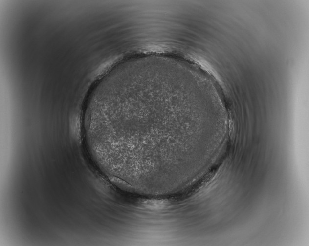 X0000095950444200801251133