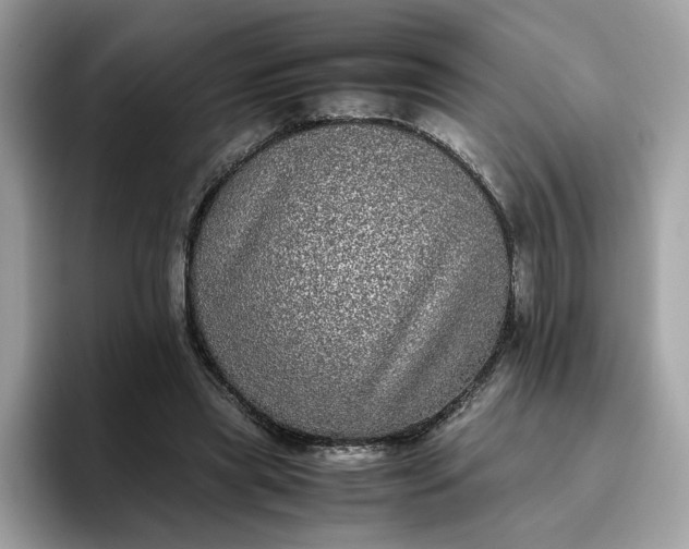 X0000095950445200801251133