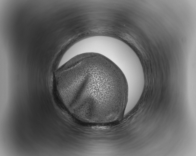 X0000095950448200801251133