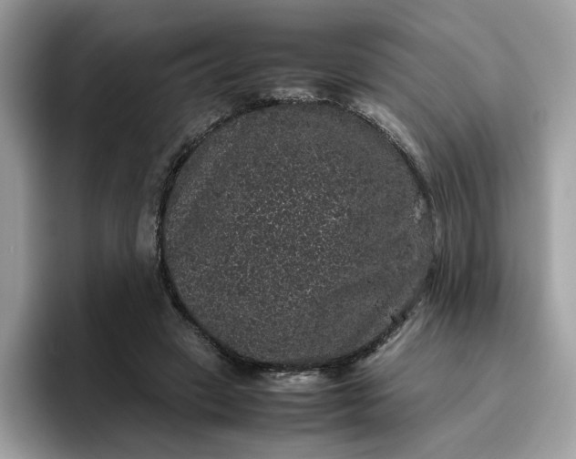 X0000095950449200801251133