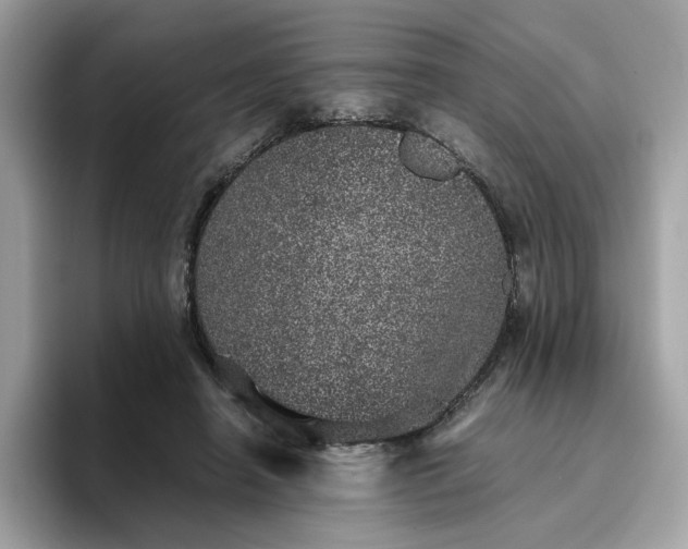 X0000095950450200801251133