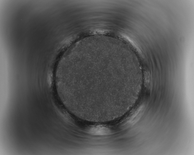 X0000095950451200801251133