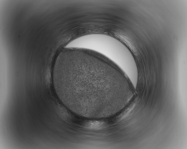 X0000095950453200801251133