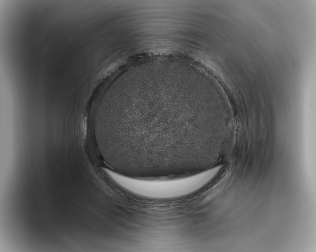 X0000095950454200801251133