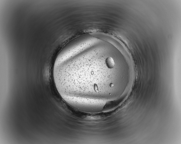 X0000095950455200801251133