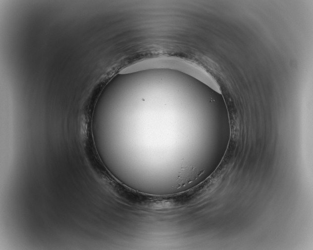 X0000095950456200801251133