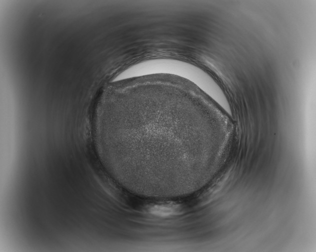 X0000095950459200801251133