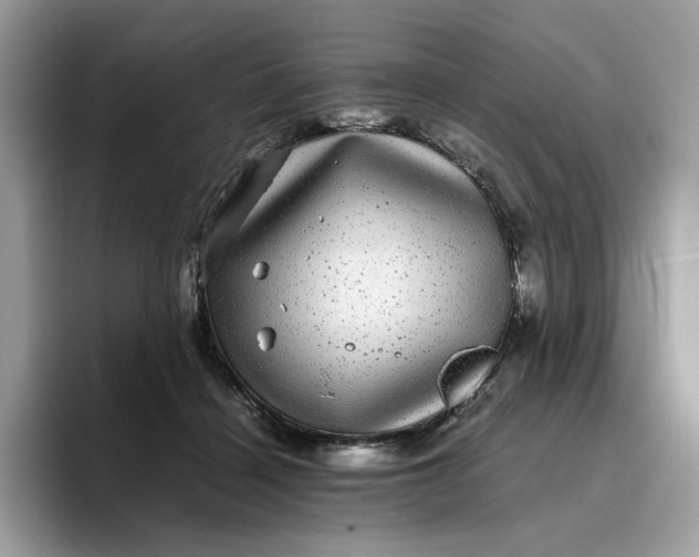 X0000095950460200801251133