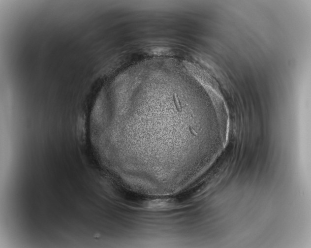 X0000095950461200801251133