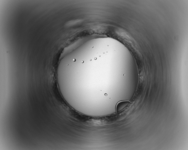 X0000095950464200801251133