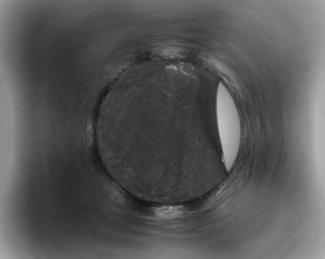 X0000095950465200801251133