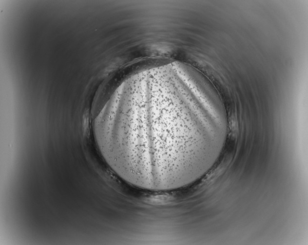 X0000095950468200801251133