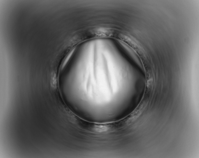 X0000095950469200801251133