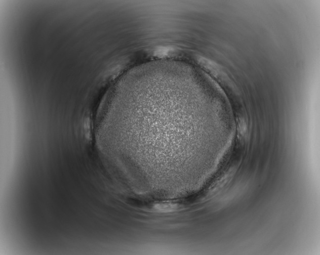 X0000095950470200801251133