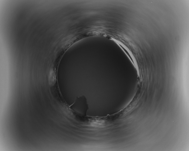 X0000095950471200801251133