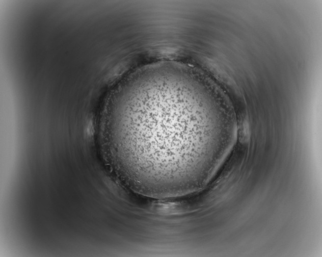 X0000095950472200801251133