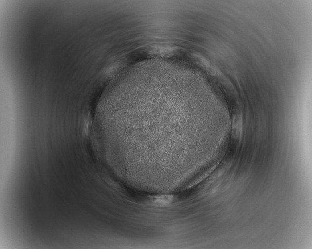 X0000095950474200801251133