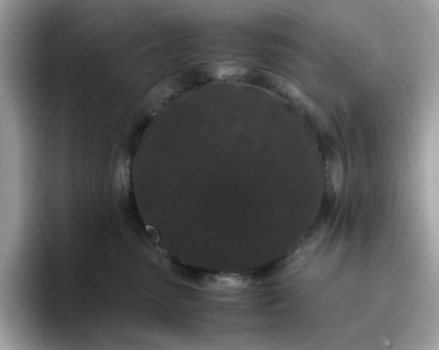 X0000095950475200801251133