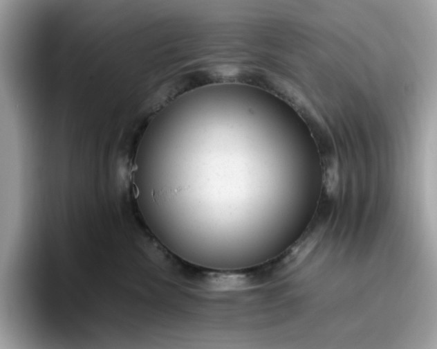 X0000095950476200801251133