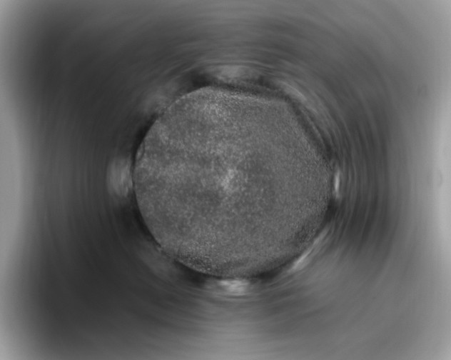 X0000095950478200801251134