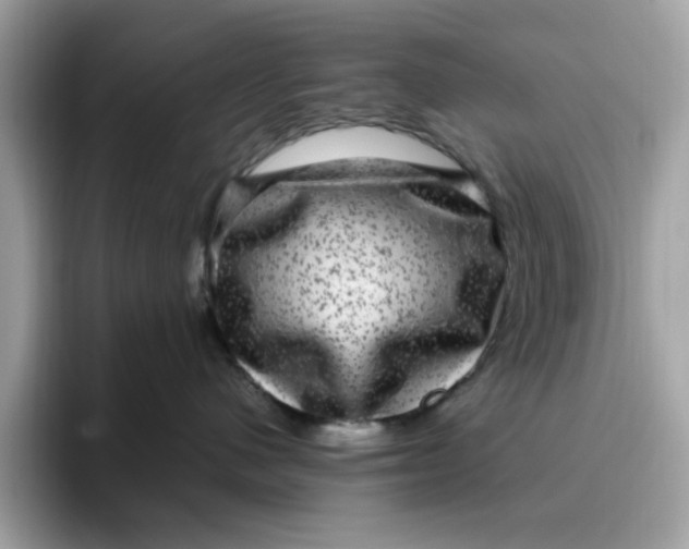 X0000095950480200801251134