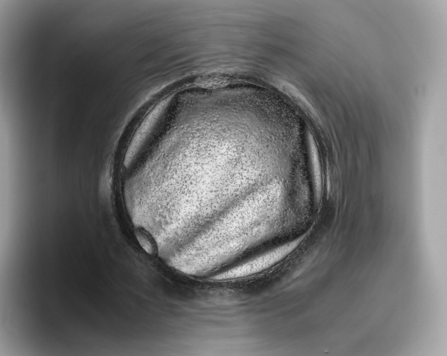 X0000095950483200801251133