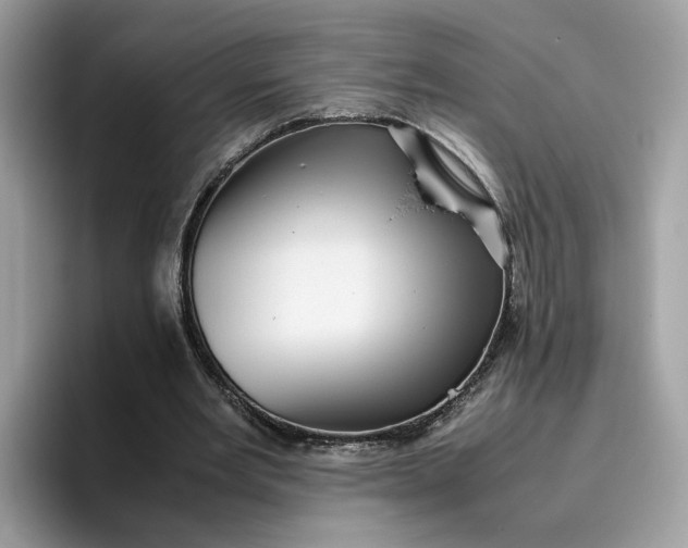 X0000095950485200801251133