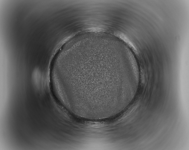 X0000095950486200801251133