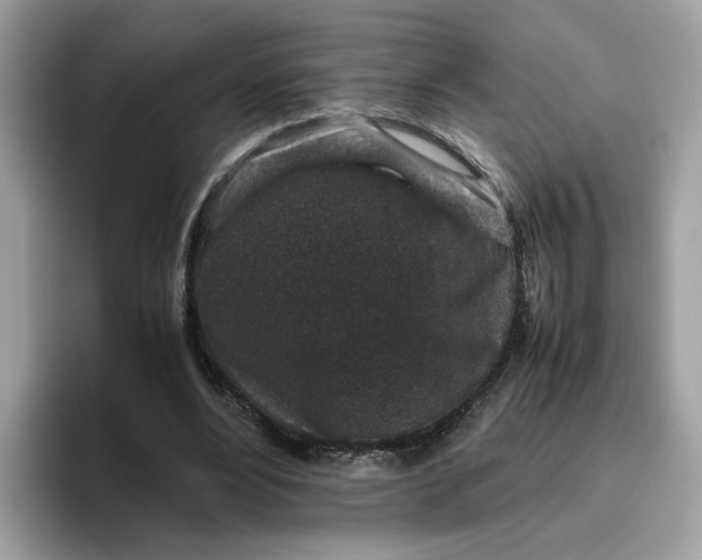 X0000095950488200801251133