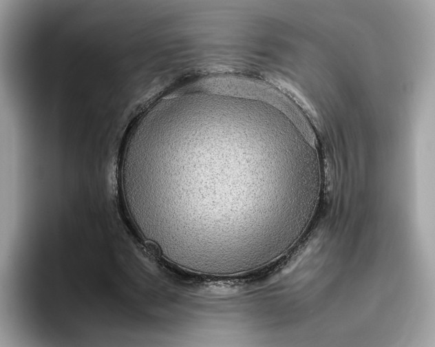 X0000095950489200801251133