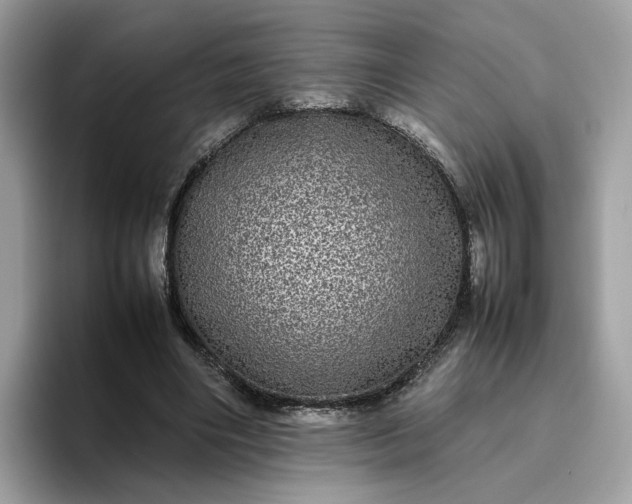 X0000095950490200801251133