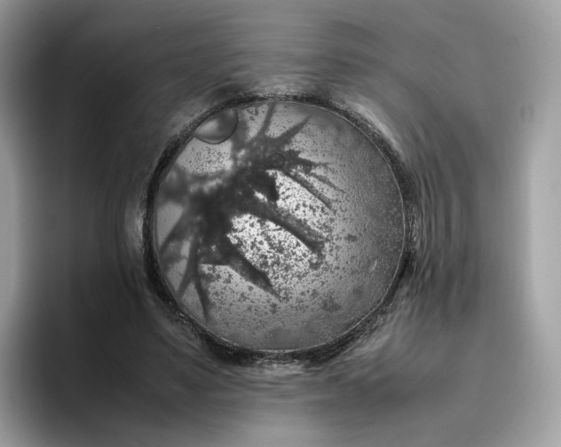 X0000095950491200801251133