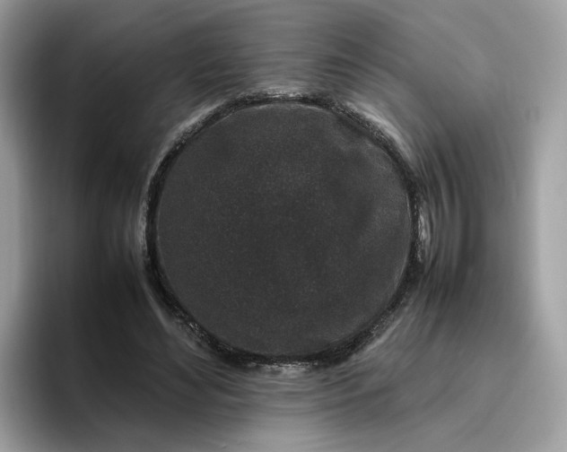 X0000095950492200801251133