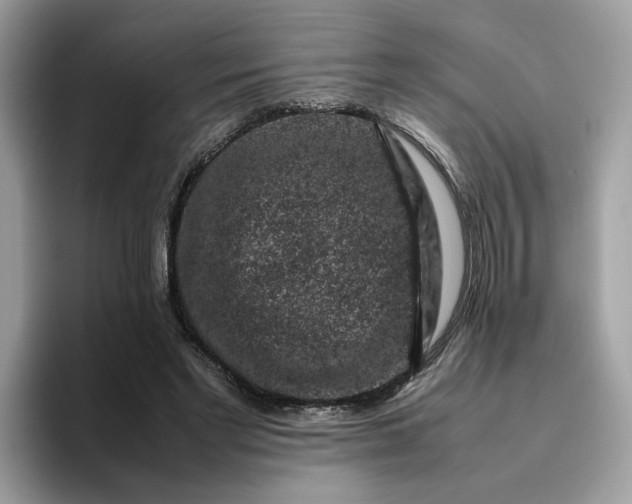 X0000095950493200801251133