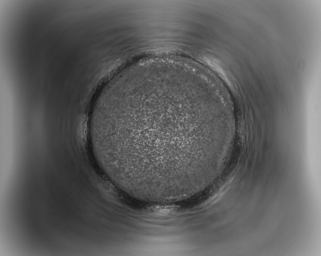 X0000095950495200801251133