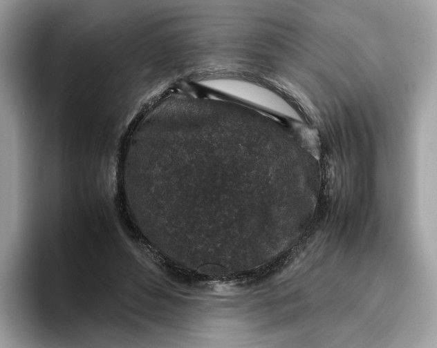 X0000095950496200801251133