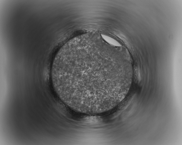 X0000095950499200801251133