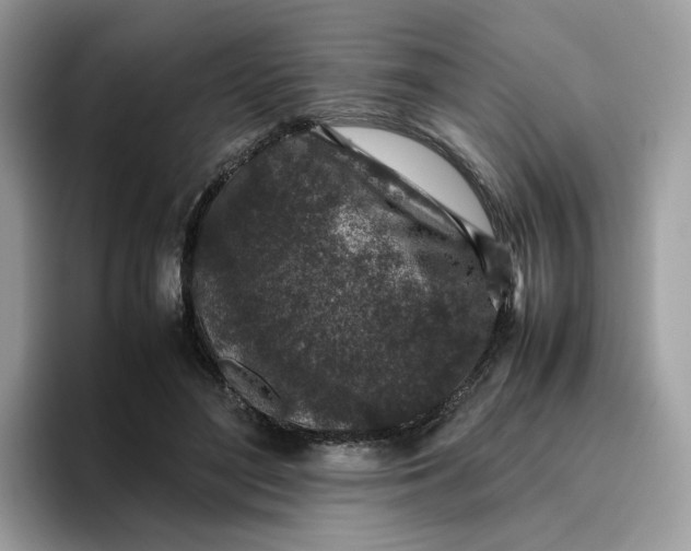 X0000095950500200801251133