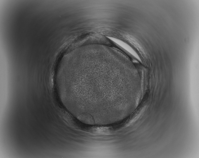 X0000095950501200801251133