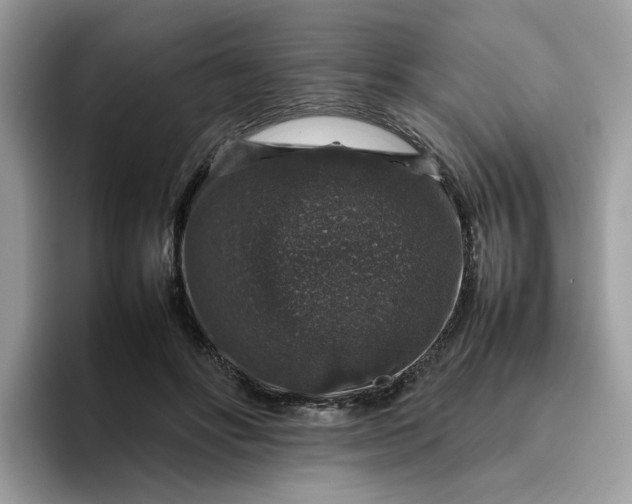 X0000095950502200801251133