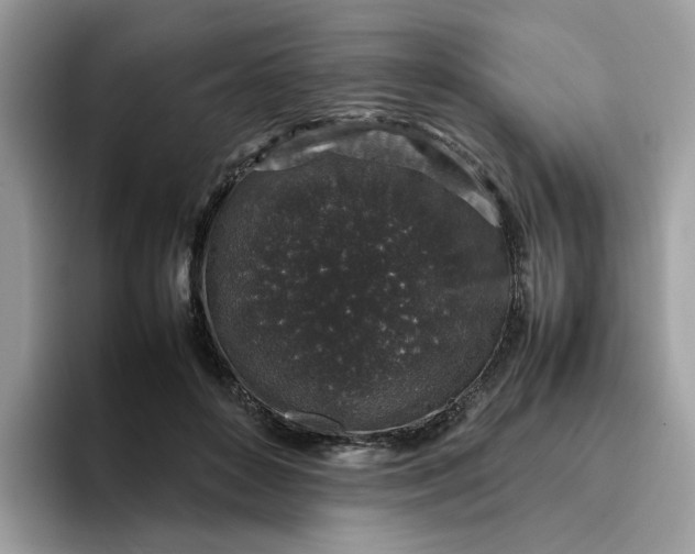 X0000095950504200801251133