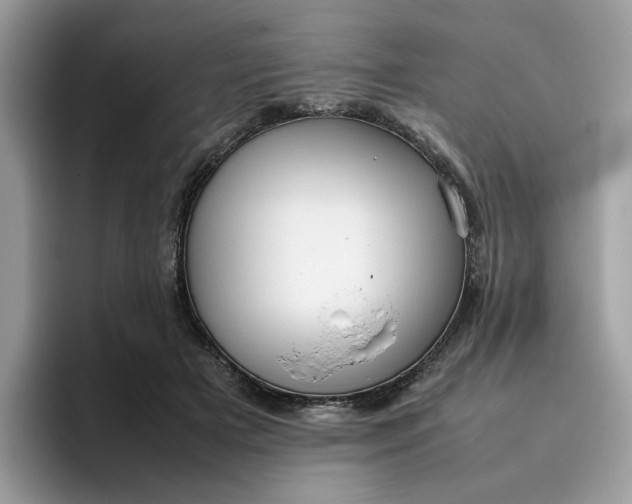 X0000095950505200801251133