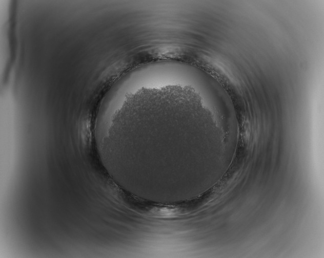 X0000095950506200801251133