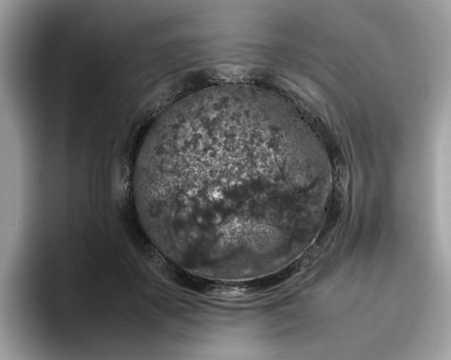 X0000095950507200801251133