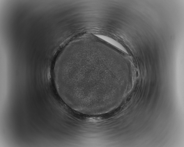 X0000095950508200801251133