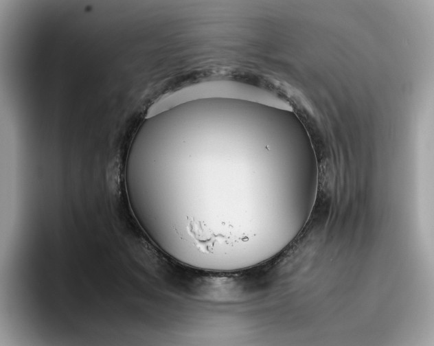 X0000095950509200801251133