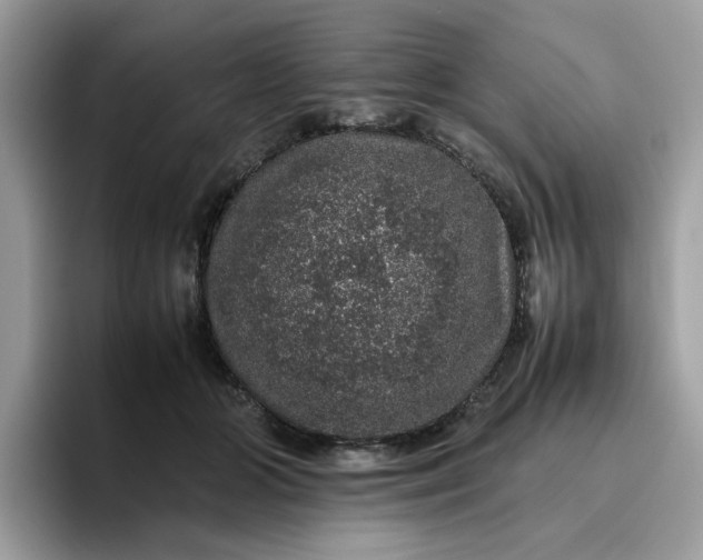 X0000095950510200801251133