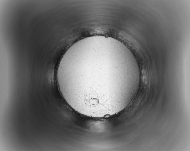 X0000095950514200801251132